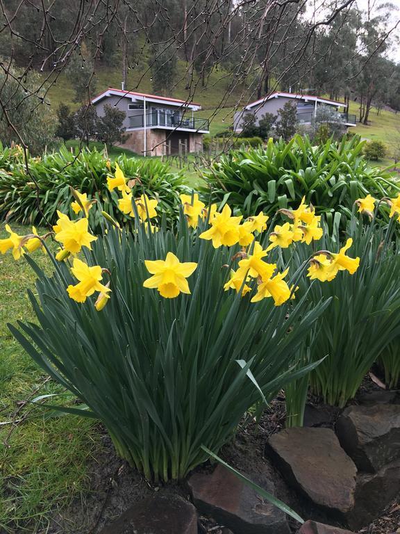 Araluen Boutique Accommodation Yarra Glen Exterior foto